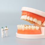 Genaue Analyse der Zähne